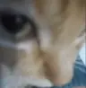 FalseCain's Avatar